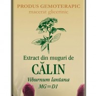 EXTRACT MUGURI CALIN 50ML Viburnum lantana MG=D1 PLANTEXTRAKT