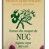 EXTRACT MUGURI NUC 50ML Juglans regia MG=D1 PLANTEXTRAKT