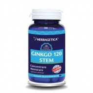 GINKGO 120 STEM 120CPS HERBAGETICA
