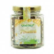 PASTURA 100g ONEDIA