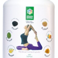 SILUETA - shake proteic din soia si plante medicinale ( pulbere ) NOU!!!! Cutie 500 g Santo Raphael