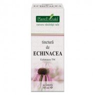 TINCTURA ECHINACEA 50ML (TM) PLANTEXTRAKT