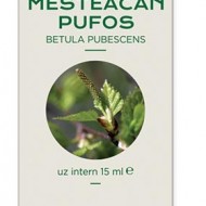 CONCENTRAT MUGURI MESTEACAN PUFOS 15ML Betula pubescens MG PLANTEXTRAKT