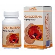 GANODERMA 60cpr 1+1 GRATIS DACIA PLANT