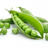 MAZARE VERDE 1KG ADAMS VISION