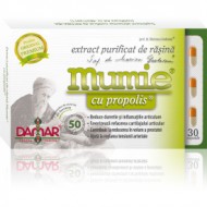 MUMIE EXTRACT RASINA+ PROPOLIS 30CPS DAMAR GENERAL