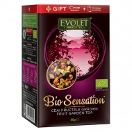 CEAI FRUCTELE GRADINII 80GR (EVOLET) (BIO) VEDDA