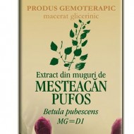 EXTRACT MUGURI MESTEACAN PUFOS 50ML Betula pubescens MG=D1 PLANTEXTRAKT