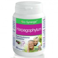 HARPHAGOPHYTUM 60CPS BIO-SYNERGIE