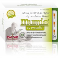 MUMIE EXTRACT RASINA+ PROPOLIS 60CPS DAMAR GENERAL