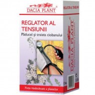 REGLATOR TENSIUNE 60 CPR 1+1 GRATIS DACIA PLANT