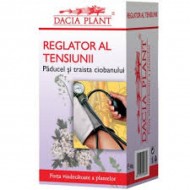 REGLATOR TENSIUNE 60CPR  DACIA PLANT