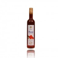 SIROP CATINA 500ml SANTO RAPHAEL