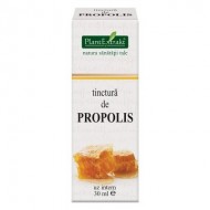 TINCTURA PROPOLIS 30ML (TM) PLANTEXTRAKT