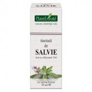 TINCTURA SALVIE 50ML (TM) PLANTEXTRAKT
