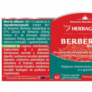 BERBERINA BIO ACTIVA 60CPS HERBAGETICA