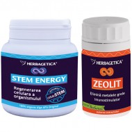ENERGY STEM 250ML+ZEOLIT 60CPS GRATIS HERBAGETICA