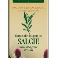 EXTRACT SALCIE MUGURI 50ML Salix alba gemme MG=D1 PLANTEXTRAKT