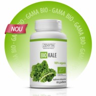 KALE PULBERE (BIO) 60GR ZENYTH