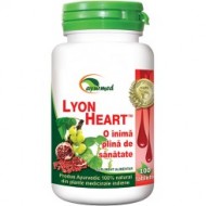 LYON HEART 100TB STAR INTERNATIONAL
