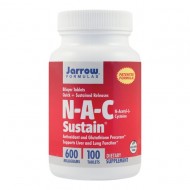 NAC SUSTAIN 100tb SECOM