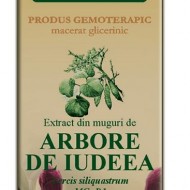 EXTRACT DIN MUGURI DE ARBORE IUDEEA 50ML Cercis siliquastrum MG=D1 PLANTEXTRAKT