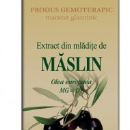EXTRACT MLADITE MASLIN 50ML Olea europaea MG=D1 PLANTEXTRAKT