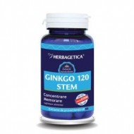 GINKGO 120 STEM 30CPS HERBAGETICA