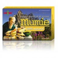MUMIE EXTRACT PURIFICAT DE RASINA 60CPR DAMAR GENERAL