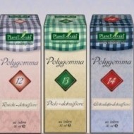 POLYGEMMA NR.15 50ML (INTESTIN-DETOXIFIERE) PLANTEXTRAKT