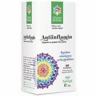 Capsule Antiinflamin 60 cp Santo Raphael