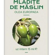 CONCENTRAT MLADITE MASLIN 15MLOlea europaea MG PLANTEXTRAKT