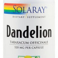 DANDELION (PAPADIE) 520MG 100CPS SECOM