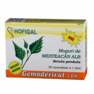 GEMODERIVAT MESTEACAN ALB 30 monodz HOFIGAL