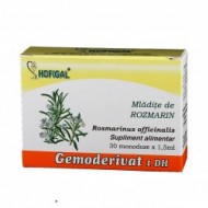 GEMODERIVAT ROZMARIN 30 monodz HOFIGAL
