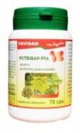 NUTRISAN PVA 70cps FAVISAN