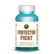 PROTECTOR FICAT 60CPS HYPERICUM