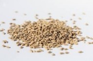 SEMINTE FLOAREA SOARELUI DECOJITE 500GR SPRINGMARKT