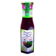 Sirop natural de COACAZ NEGRU, cu miere Flacon 230ml SANTO RAPHAEL