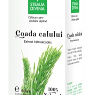 TINCTURA COADA-CALULUI 50ml SANTO RAPHAEL