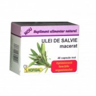 ULEI SALVIE 40CPS MOI HOFIGAL