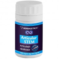 ARTICULAR STEM 60cps HERBAGETICA