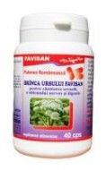 BRANCA URSULUI 40cps FAVISAN