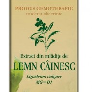EXTRACT MLADITE LEMN CAINESC 50ML Ligustrum vulgare MG=D1 PLANTEXTRAKT