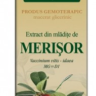 EXTRACT MLADITE MERISOR 50ML Vaccinium vitis idaea MG=D1 PLANTEXTRAKT