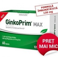 GINKOPRIM MAX 120MG 30CPR WALMARK