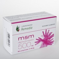 MSM 500MG 60CPR REMEDIA