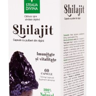 SHILAJIT flacon 60 cps 700 mg/capsula NOU!!! SANTO RAPHAEL