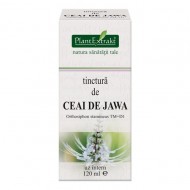 TINCTURA CEAI DE JAWA 120ML PLANTEXTRAKT