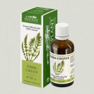 TINCTURA COADA CALULUI 50ML DACIA PLANT